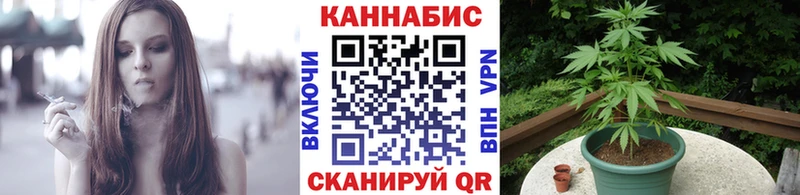 Цена Бежецк mega ONION  Alpha-PVP  Амфетамин  МЕФ  Гашиш 