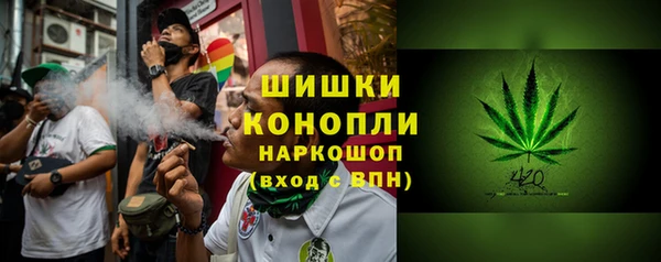 индика Балахна