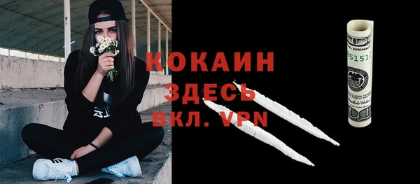 гашик Аркадак