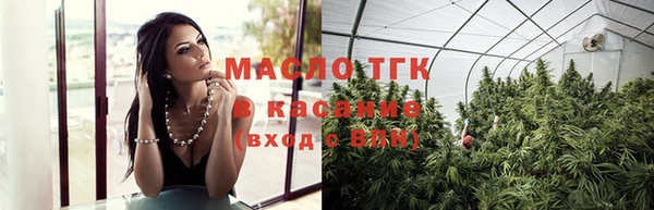 гашик Аркадак